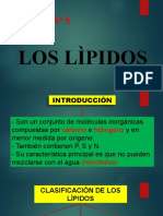 T4 Los Lipidos