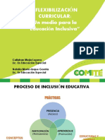 Flexibilizacion Curricular PDF