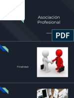 Asociación Profesional PDF