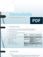 Nematoda