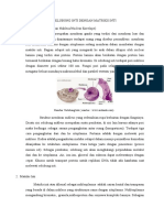 Perbedaan Fungsi Selubung Inti Dengan Matriks Inti