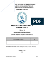 Histologia General Y Obstetrica