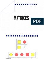 MATRICES WISC V(1).pdf