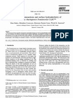 Membrane Interactions and Surface Hydrophobicity of Bacillus Thuringiensis S-Endotoxin CryIC