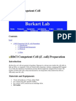 RBCL Competent Cell (E. Coli) Preparation