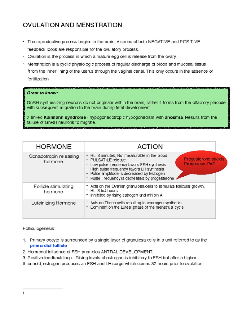 Understanding Ovulation and Menstruation | PDF | Menstrual Cycle ...