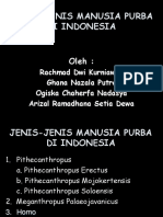 JENIS MANUSIA PURBA DI INDONESIA