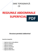 C9 Regiunile Abdominale Superficiale