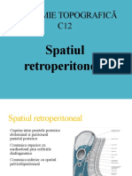 C12 Retroperitoneul