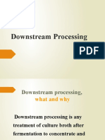 06 Downstream Processing