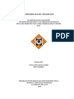 Paper Begomovirus PDF