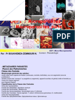 macroparasite.pdf