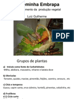 programacao plantio