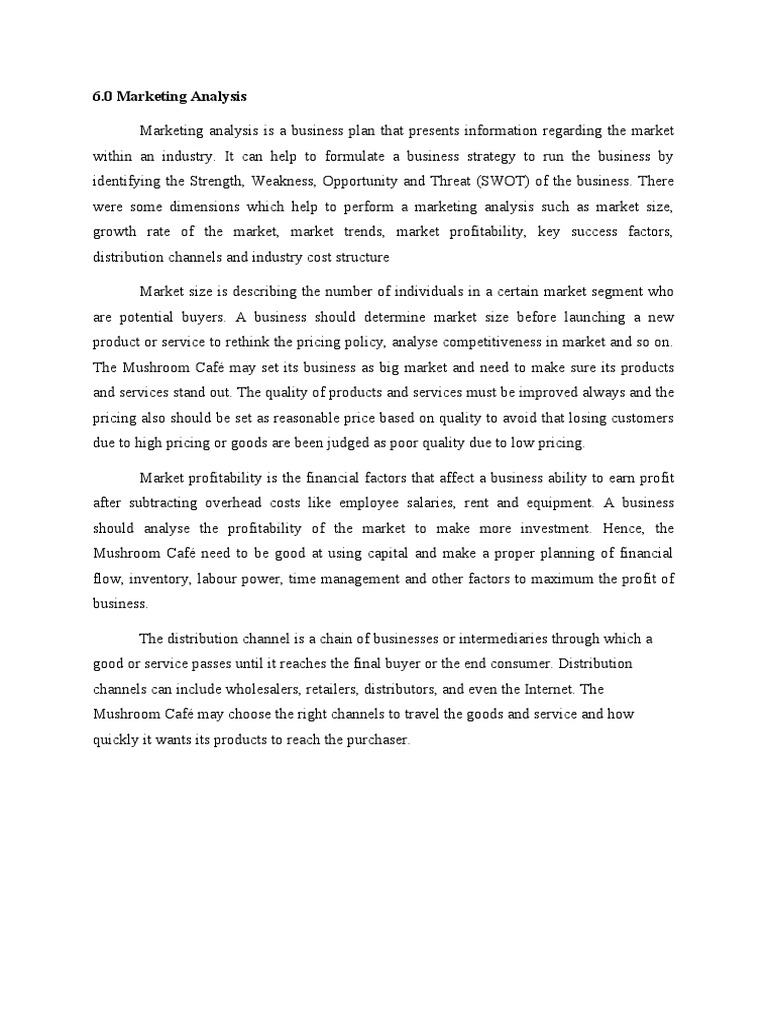 Marketing Analysis for Business Strategy | PDF