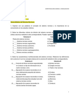 Conso11 PDF
