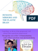 Phantom Limbs and Plastic Brain