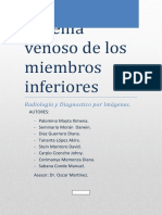 Sistema Venoso de Los Miembros Inferiores Radiologia Final