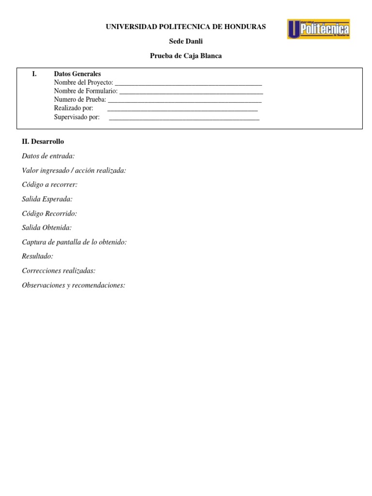 Insignia Aliviar Perdido Formato de Pruebas de Caja Blanca y Negra | PDF