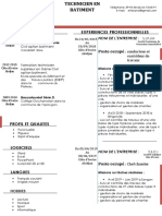 CV PDF