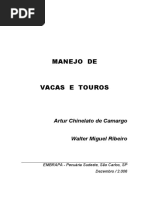 Manejo de Vacas e Touros