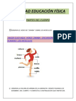 Actividad Ed Física Partes Del Cuerpo