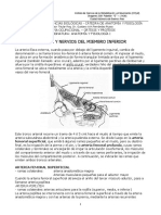 18-NEUROVASCULAR MIEMBRO INFERIOR