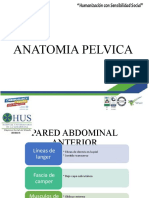 ANATOMIA PELVICA.pptx