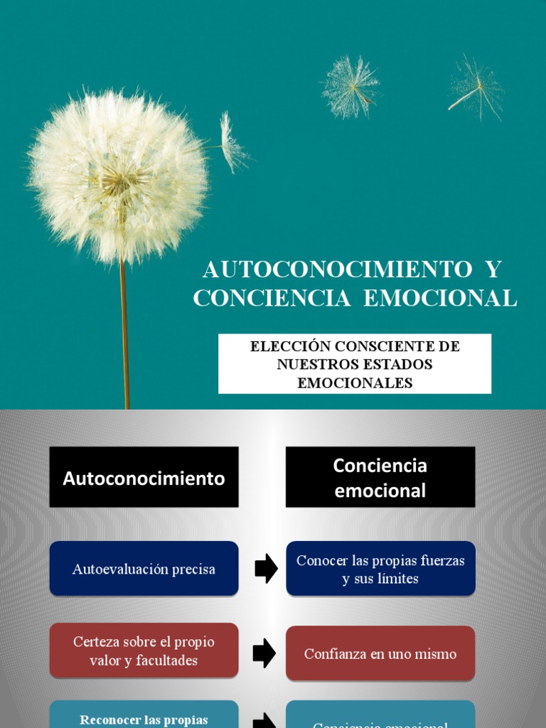 Autoconocimiento Y Conciencia Emocional Pdf Las Emociones