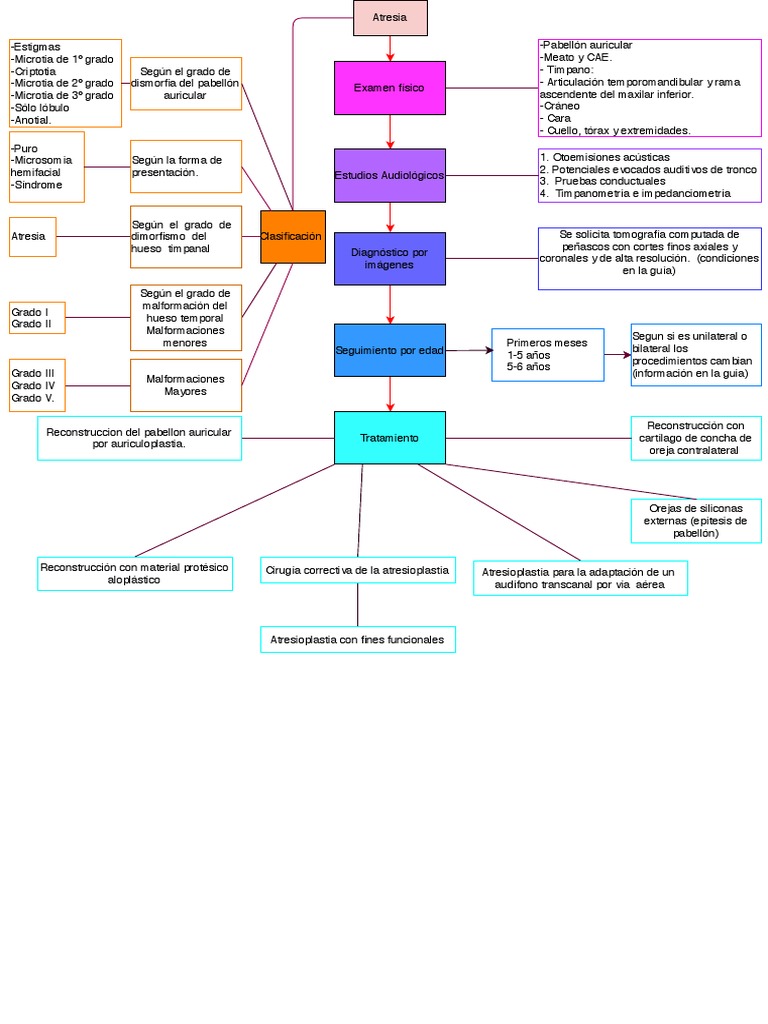 Atresia PDF Anatomía humana Medicina CLINICA