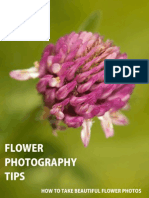 Flower Photography Tips - How to Take Beautiful Flower Photos