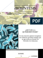 Quimiosíntesis-Micro.pptx