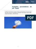 5.3.2._Anexo_Principales_proveedores_de_servicios_IaaS__PaaS