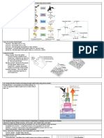 Biology [1] (2).pdf