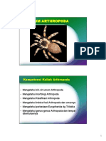 Materi Arthropoda.pdf
