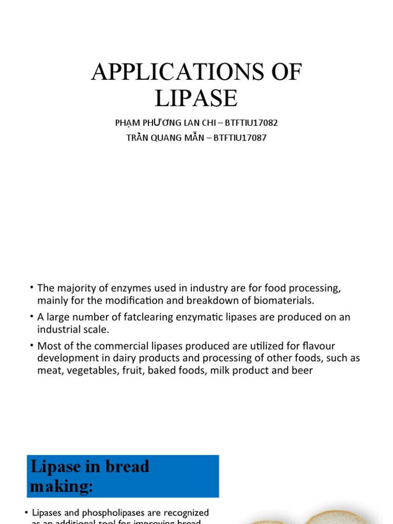 Assignment2APPLICATIONSOFLIPASE PDF Enzyme Fat