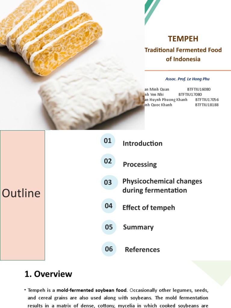 Tempeh: Production and Fermentation Process | PDF | Soybean | Foods