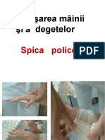 spica_policelui.ppt