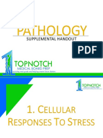 TOPNOTCH Pathology PICTURES Supplement Powerpoint For September 2018