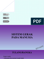 SISTEM ORGAN XI.pptx