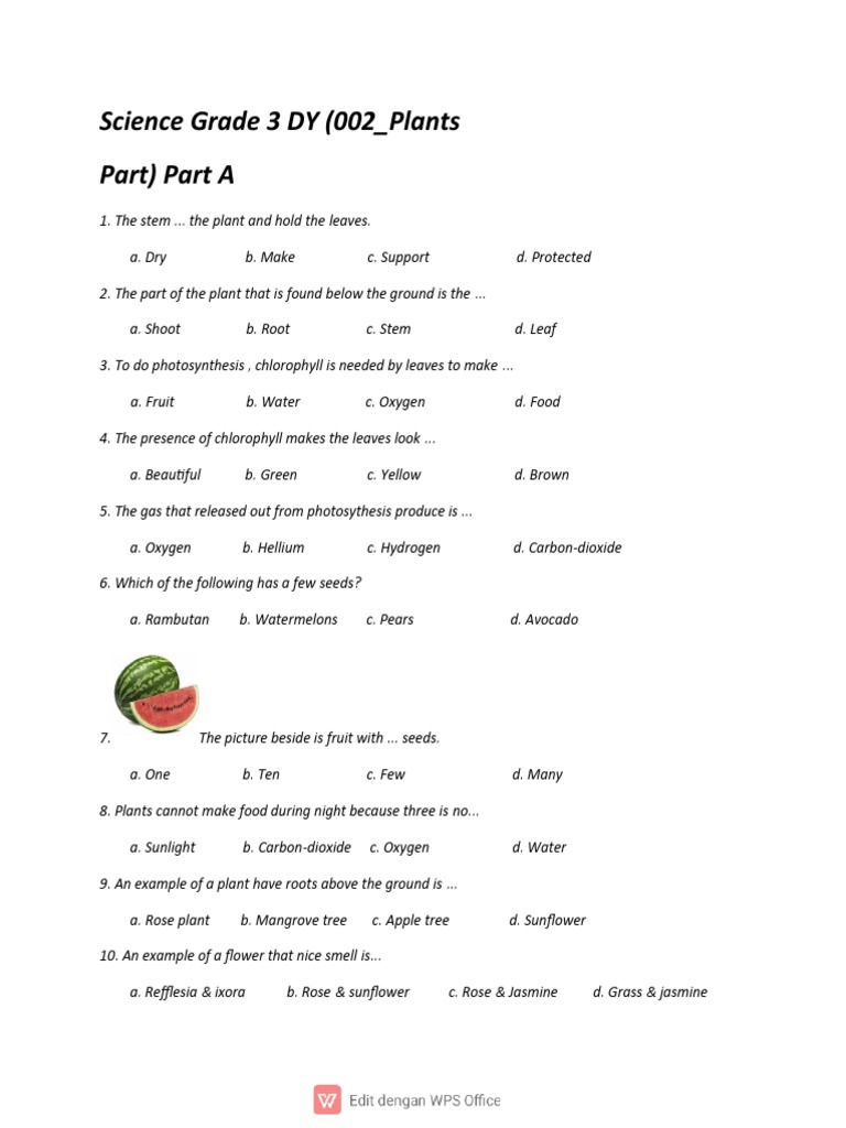 Grade 3 Plant Science Quiz | PDF