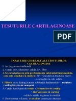 Curs 4 Histo Cartilaginoase