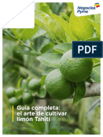 El Arte de Cultivar Limón Tahití PDF