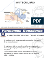 17.Audicion y Equilibrio