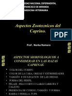 3tema3razasdecaprinosintensivossss-160607000121.pdf