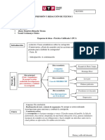 esquema de ideas word (1).pdf