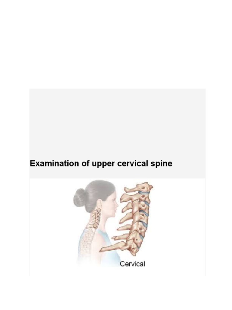 Manual Therapy PDF Anatomical Terms Of Motion Spinal Cord
