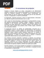1 - O mecanismo da proje+º+úo.pdf