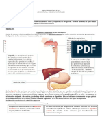 Guía Nº1 Ciencias Naturales