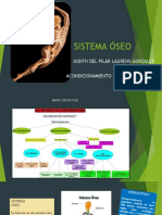 El sistema óseo: estructura, función y tipos de huesos