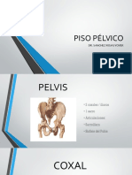 Anatomia Piso Pélvico